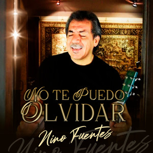 No Te Puedo Olvidar