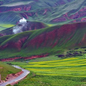 大西北  我的亲娘