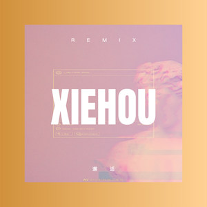 给我个痛快 (DJ版)