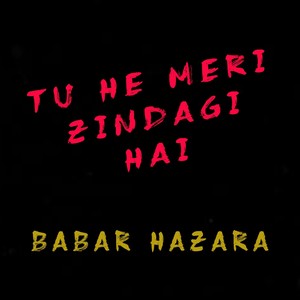 Tu He Meri Zindagi Hai