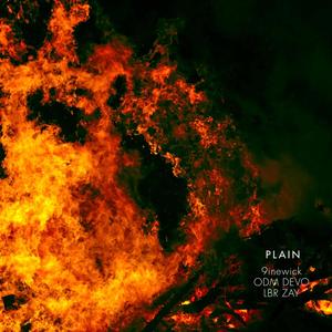 PLAIN (feat. 9inewick & ODM DEVO) [Explicit]