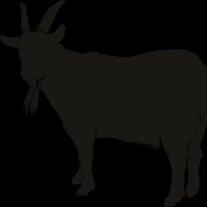 These Bandz (feat. EBE Bandz) (Explicit)