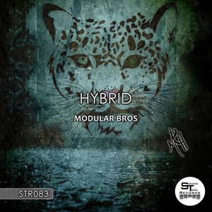 HYBRID