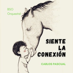 Siente La Conexión (Bso Orquestal)