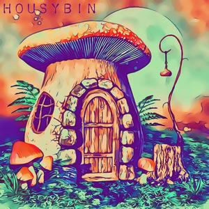 HOUSYBIN