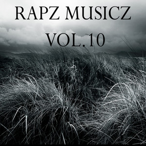 RapZ MusicZ, Vol. 10