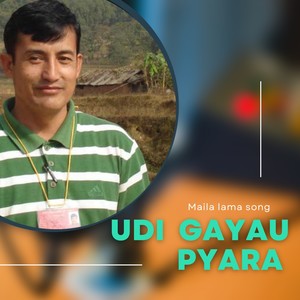 Udi gayau pyara