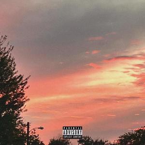 WYL (Bonus) (feat. SPOOKED! & 16) (Explicit)