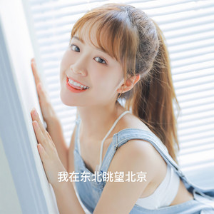 我在东北眺望北京