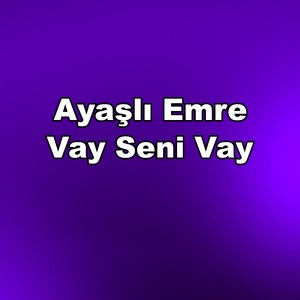 Vay Seni Vay