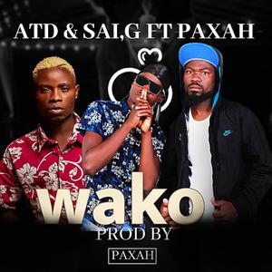 Wako (feat. Paxah)