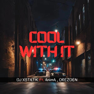 Cool With It (feat. AnimA & Drezden) [Explicit]