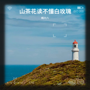 山茶花读不懂白玫瑰 (伴奏)