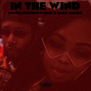 In The Wind (feat. Ladii Smurk) (Explicit)