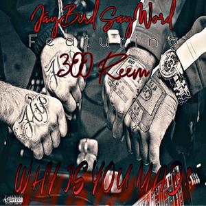 Why Is You Mad? (feat. 300 Reem) (Explicit)