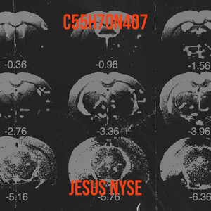 C55h70n4o7 (Explicit)