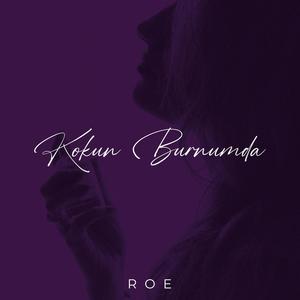Kokun Burnumda