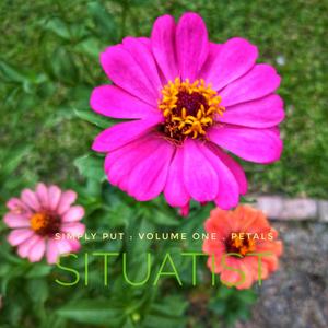 Simply Put : Petals