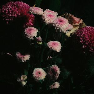 dopamine (feat. Freda) (Explicit)