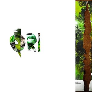 A Cabeça de uma Pessoa Faz Dela o Rei(Intro)