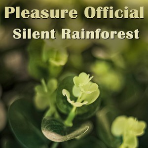 Silent Rainforest