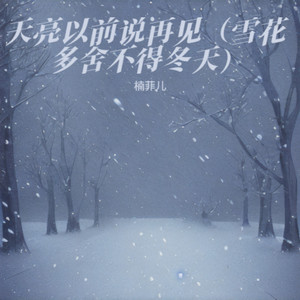 天亮以前说再见（雪花多舍不得冬天）