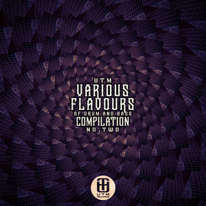 Various Flavours (Dnb) , Vol. 2