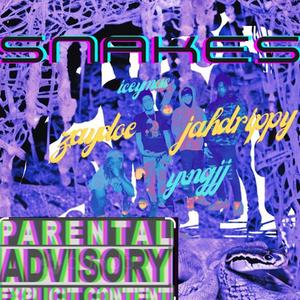 Snakes (feat. Iceymac & Zaydoe sauvy) (Explicit)