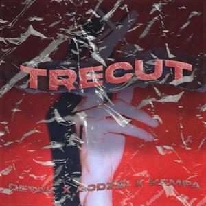 Trecut(feat. Godzzi & Kempa) (Explicit)
