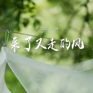 来了又走的风 (对唱扎心版)