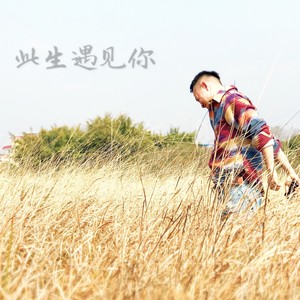 此生遇见你（演唱：何必）