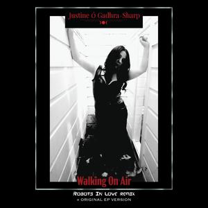 Walking on air (Robots In Love remix)