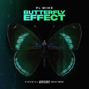 Butterfly Effect (Explicit)