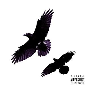 Birds (Explicit)