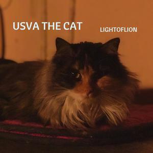 Usva The Cat