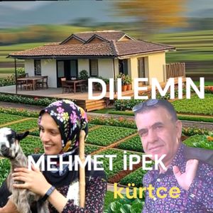 dılemın
