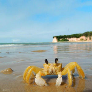 sorry gerald i defend whores (Explicit)