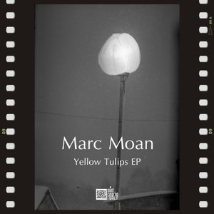 Yellow Tulips Ep