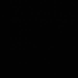 Bruce Wayne (Explicit)