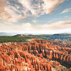 BBCDaddy Likes Feet (feat. BBCDaddy)