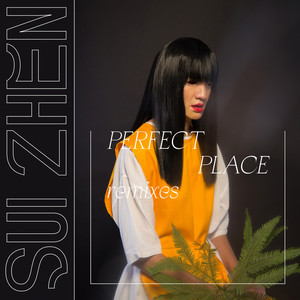 Perfect Place (Roza's Smoke Machine Mix)