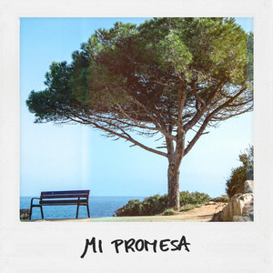 Mi promesa (Original)