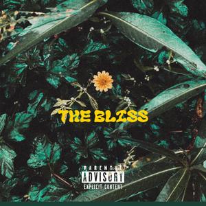 THE BLiSS (Explicit)