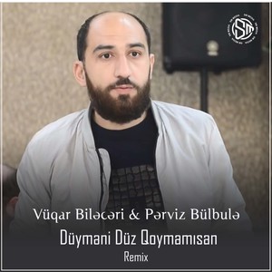 Düyməni Düz Qoymamısan (Remix)