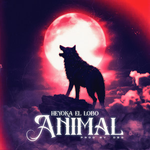 Animal (Explicit)