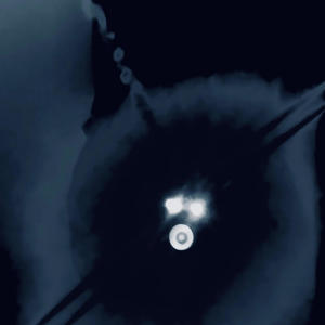 Gleeyonce (feat. Kilo Wikk) (Explicit)