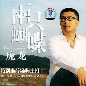 庞龙 - 家在东北 (伴奏)