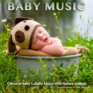 Minuet In G - Bach - Classical Baby Lullaby - Nature and Bird Sounds