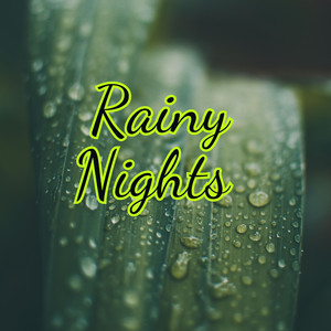 Rainy Nights for Deep Sleep - Calming Rain Sounds for Slumber