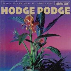 Hodge Podge